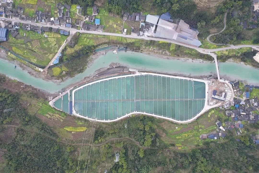 Aerial view of a sturgeon farm beside a turquoise river, its raceways laid out in rows