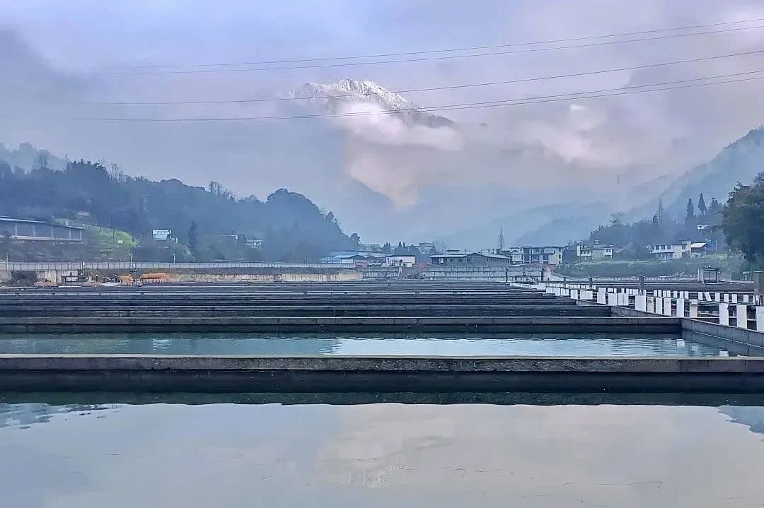 Sturgeon ponds in a mountain valley in Sichuan, a snow-capped peak in the clouds behind