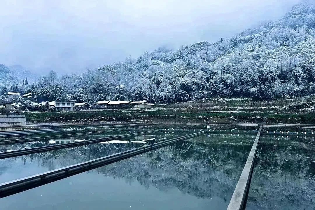 Long sturgeon raceways after snowfall, frosted forest reflected in the still water