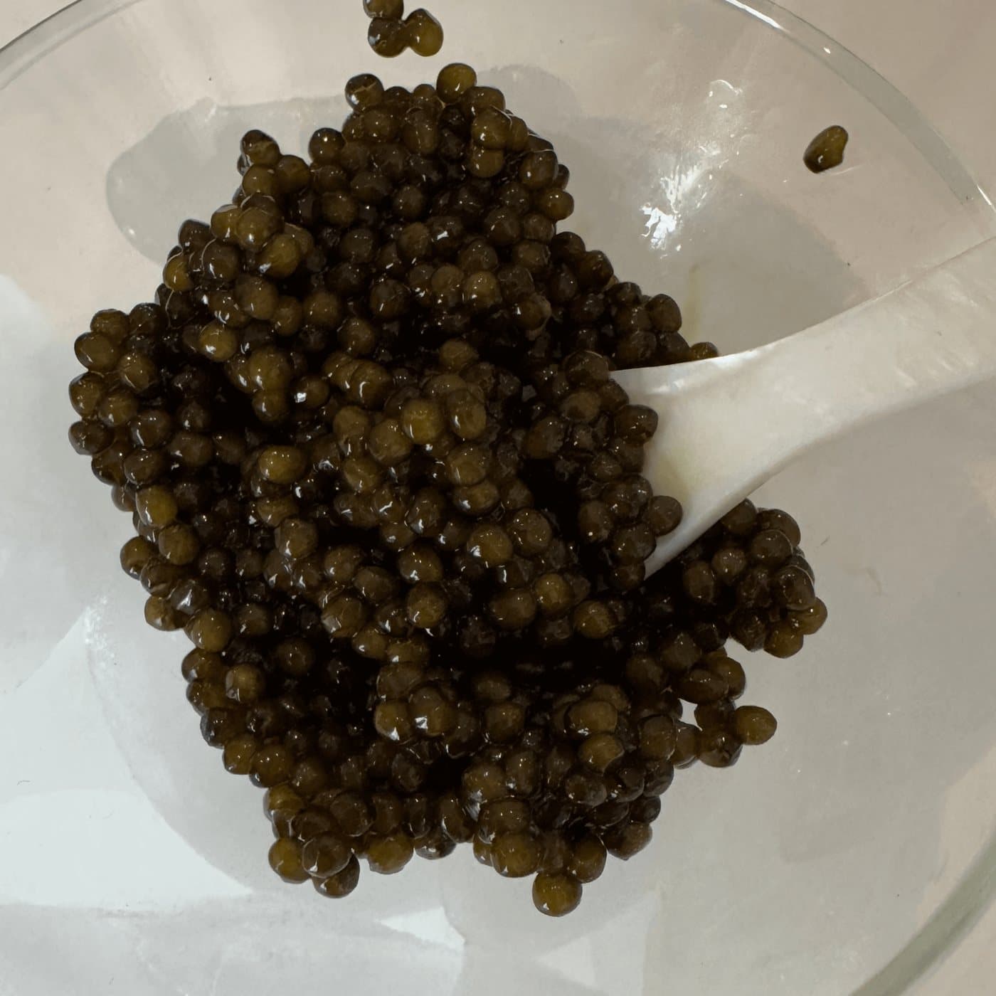 Imperial Ossetra pearls on ice with a small spoon