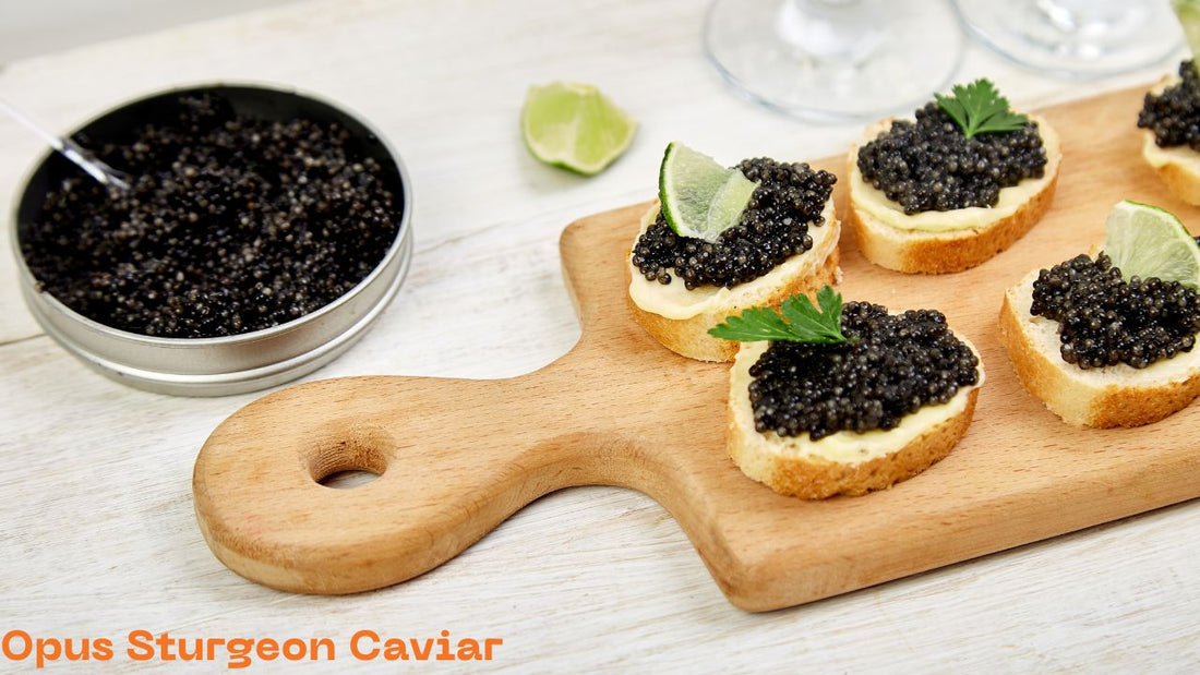 Sturgeon Caviar from Opus Caviar 