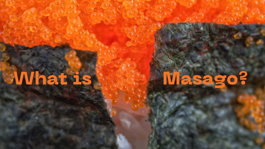 what is masago?