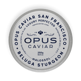 Beluga by Opus Caviar