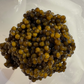 Golden Sturgeon 125g (4.4oz)